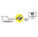 Roline DisplayPort Cable, DP - UHDTV M/M, active, 10m
