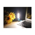 Ecovision LED USB svjetiljka plava