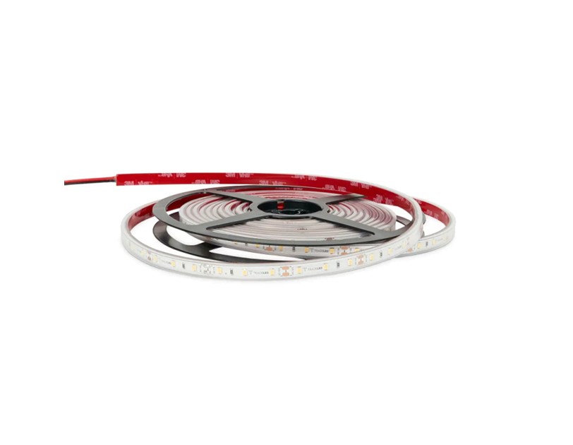 EcoVision LED traka 5m, 2835, 120LED/m, 14.4W/m, 24V DC, 6000K, IP67