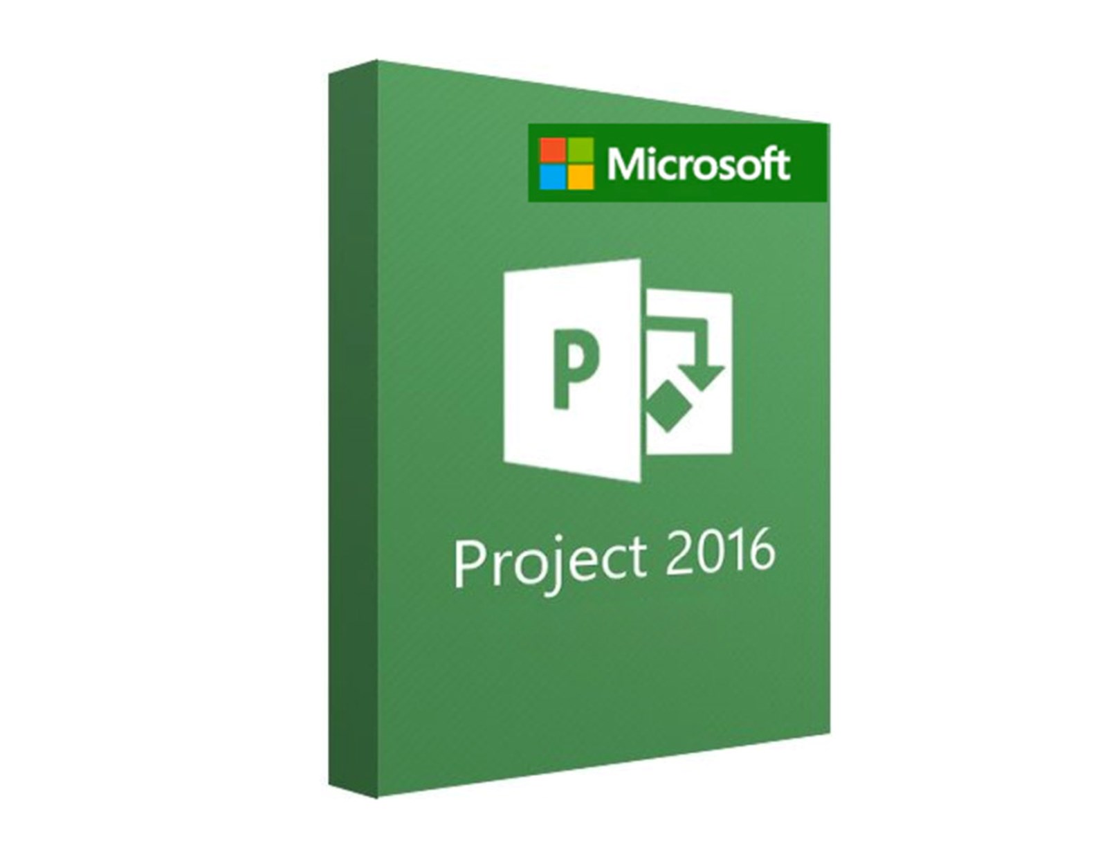 Microsoft Project Server 2016 Standard User CAL ESD elektronička licenca