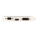 MSI GeForce GT710 2GB DDR3/64-bit, PCIe 2.0, D-Sub/Dual-link DVI-D/HDMI, Low Profile (GT710-2GD3H LP)